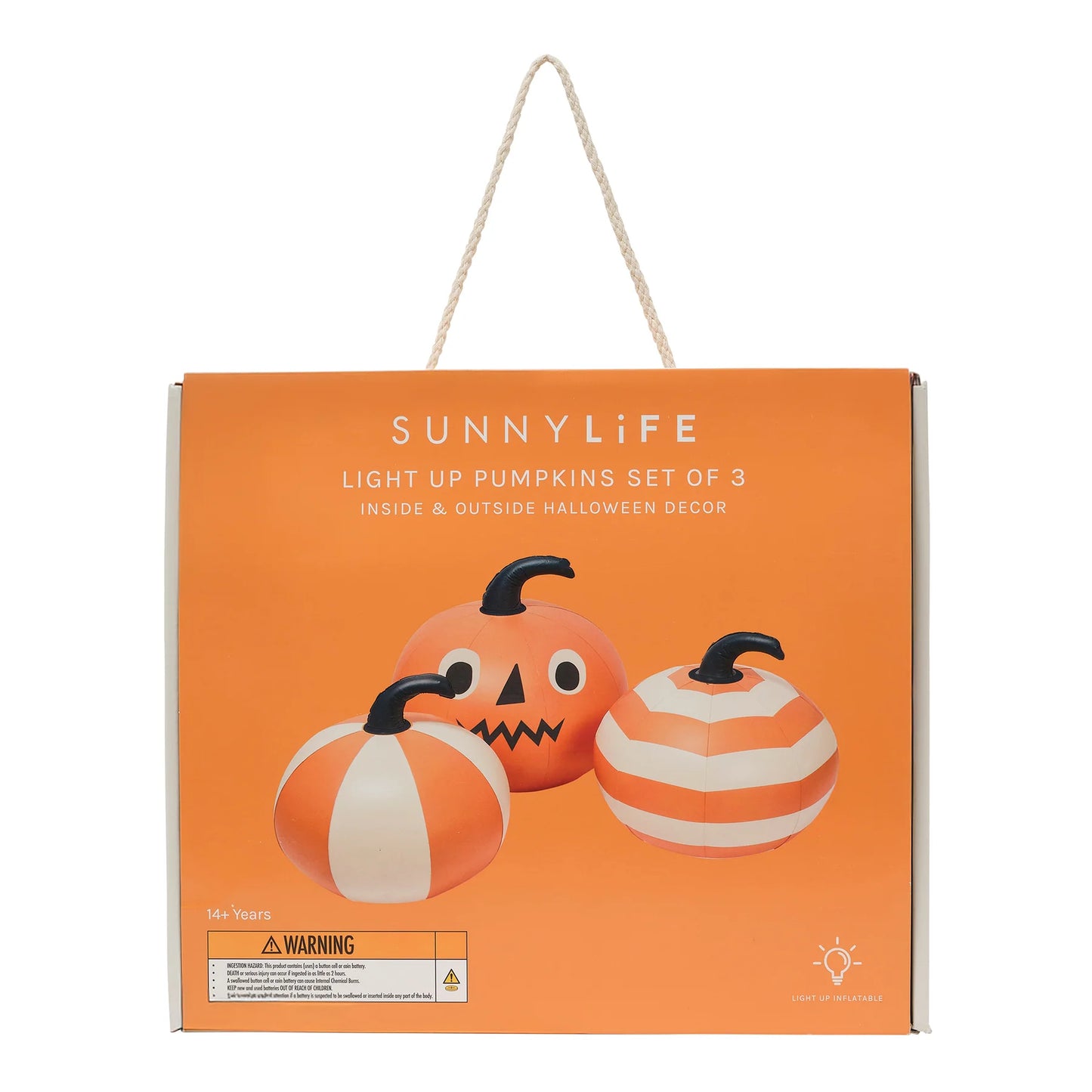 Light Up Pumpkins - Orange