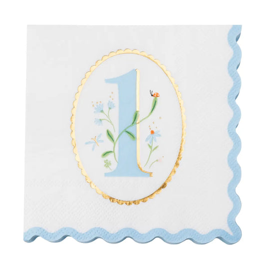 1st Birthday Sky Blue Beverage Napkins