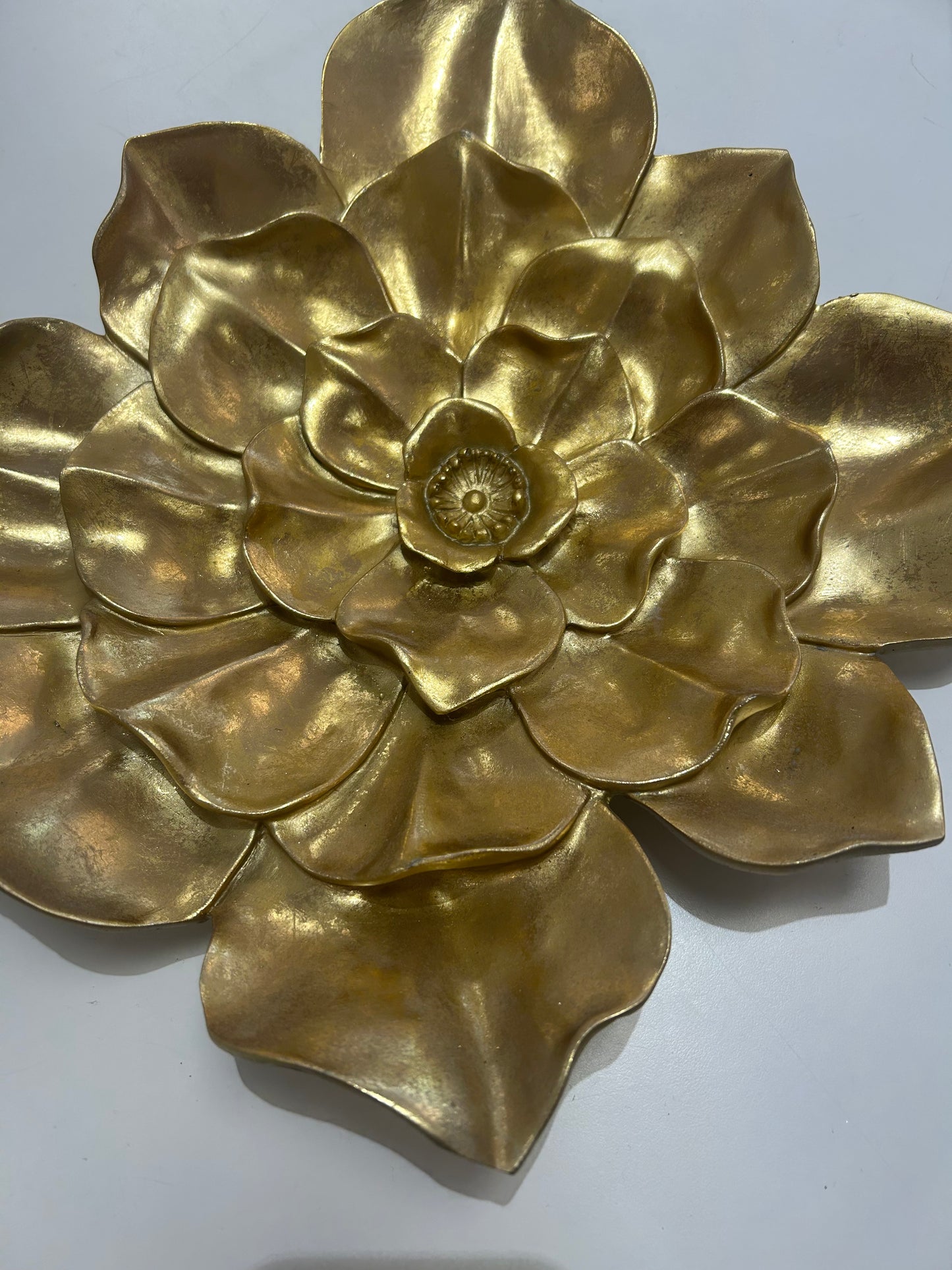 Gold Wall Flower