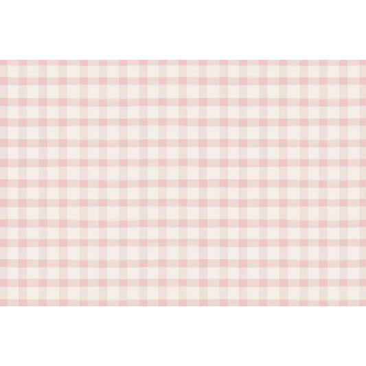 Pink Painted Check Placemats