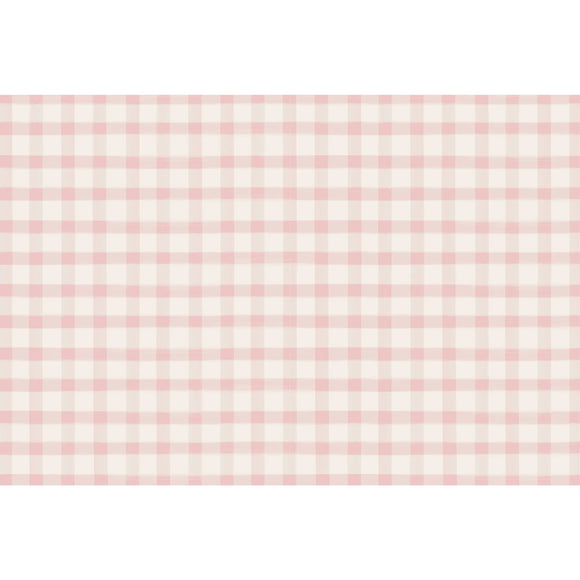 Pink Painted Check Placemats