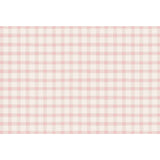 Pink Painted Check Placemats