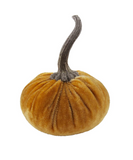 Velvet Mini Pumpkin