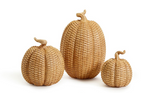 Basket Weave Pattern Pumpkin - Honey