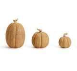 Basket Weave Pattern Pumpkin - Honey