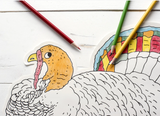 Diecut Coloring Turkey Placemats