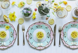 Blush Dinner Plates