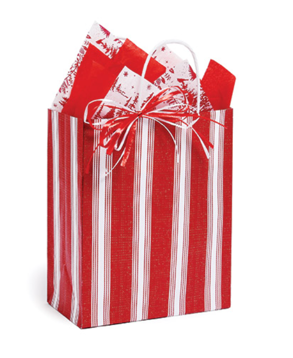 Ticking Stripe Red Paper Gift Bag - Cub