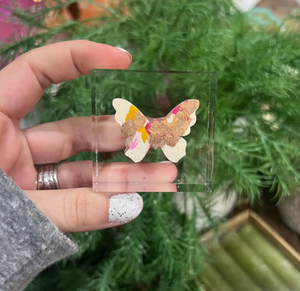 Butterfly Lucite Block