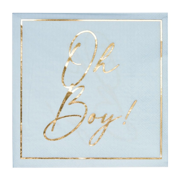 Hey Baby Blue Lunch Napkins