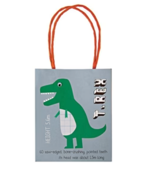 Dinosaur Facts Party Bags