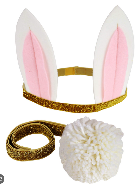 Bunny Dress Up Kit