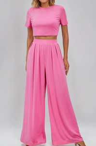 Slim Fit Crop Top and Pleated Wide Leg Pants Set - Pink