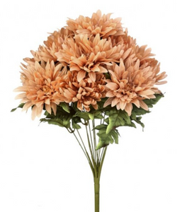 Autumn Chrysanthemum Bush