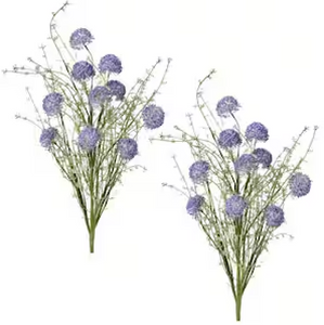 Lavender Wild Allium Bush