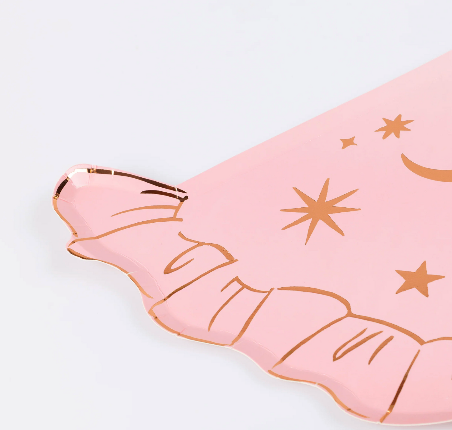 Pink Witch Hat Diecut Plates
