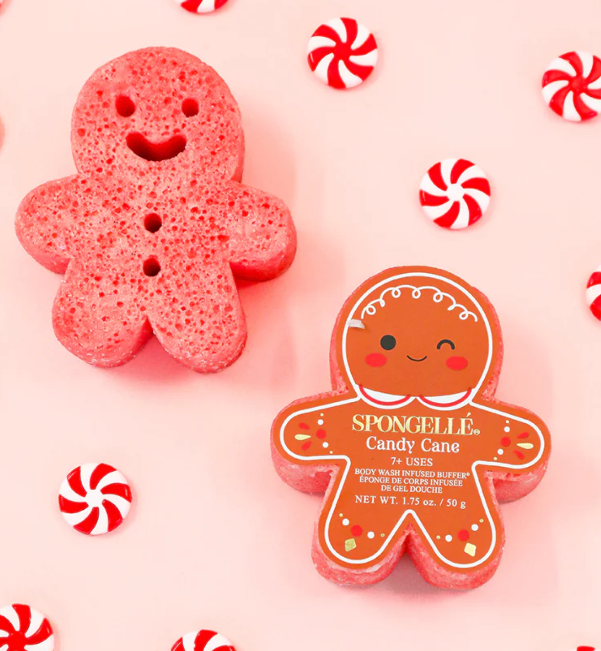 Holiday Gingerbread Spongelle - Candy Cane