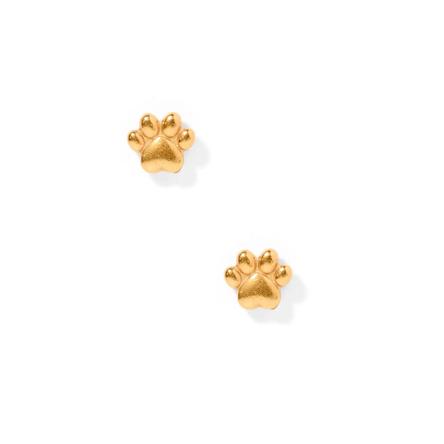 Screwback Stud Earrings - Paw Print