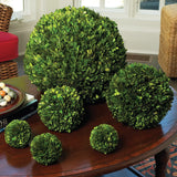 Boxwood Ball