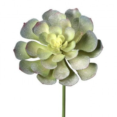 Frosted Echeveria Artificial Plant