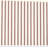 Red Stripe Placemats