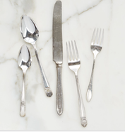 Silver 5 Piece Place Setting