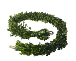 Boxwood Garland 1.5 x 8