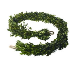 Boxwood Garland 1.5 x 8