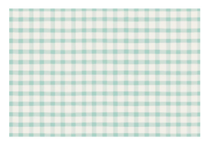 Seafoam Painted Check Placemats