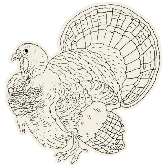 Diecut Coloring Turkey Placemats