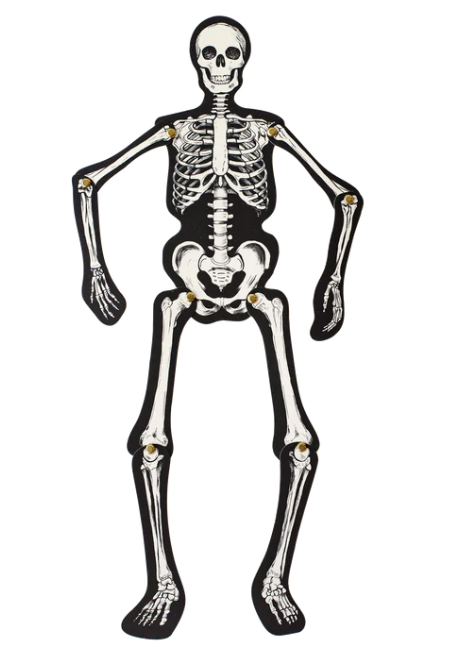 Articulated Skeleton Decorative Accent