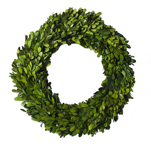 Boxwood Circle Wreath - 14"