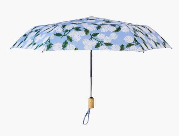 Hydrangea Umbrella